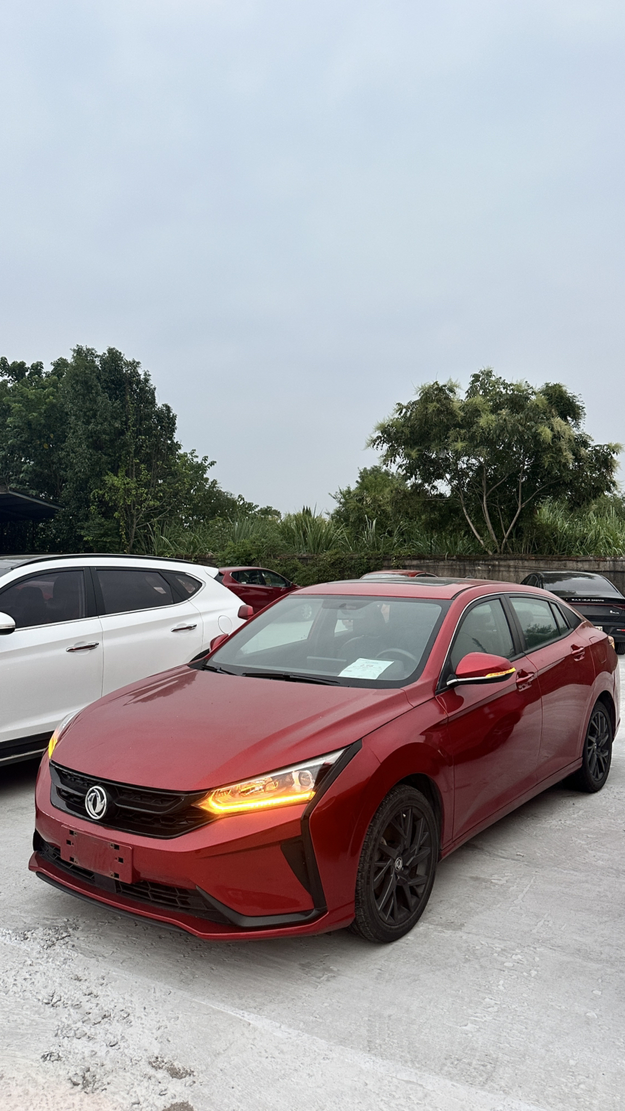 Yixuan 2020 230T AT