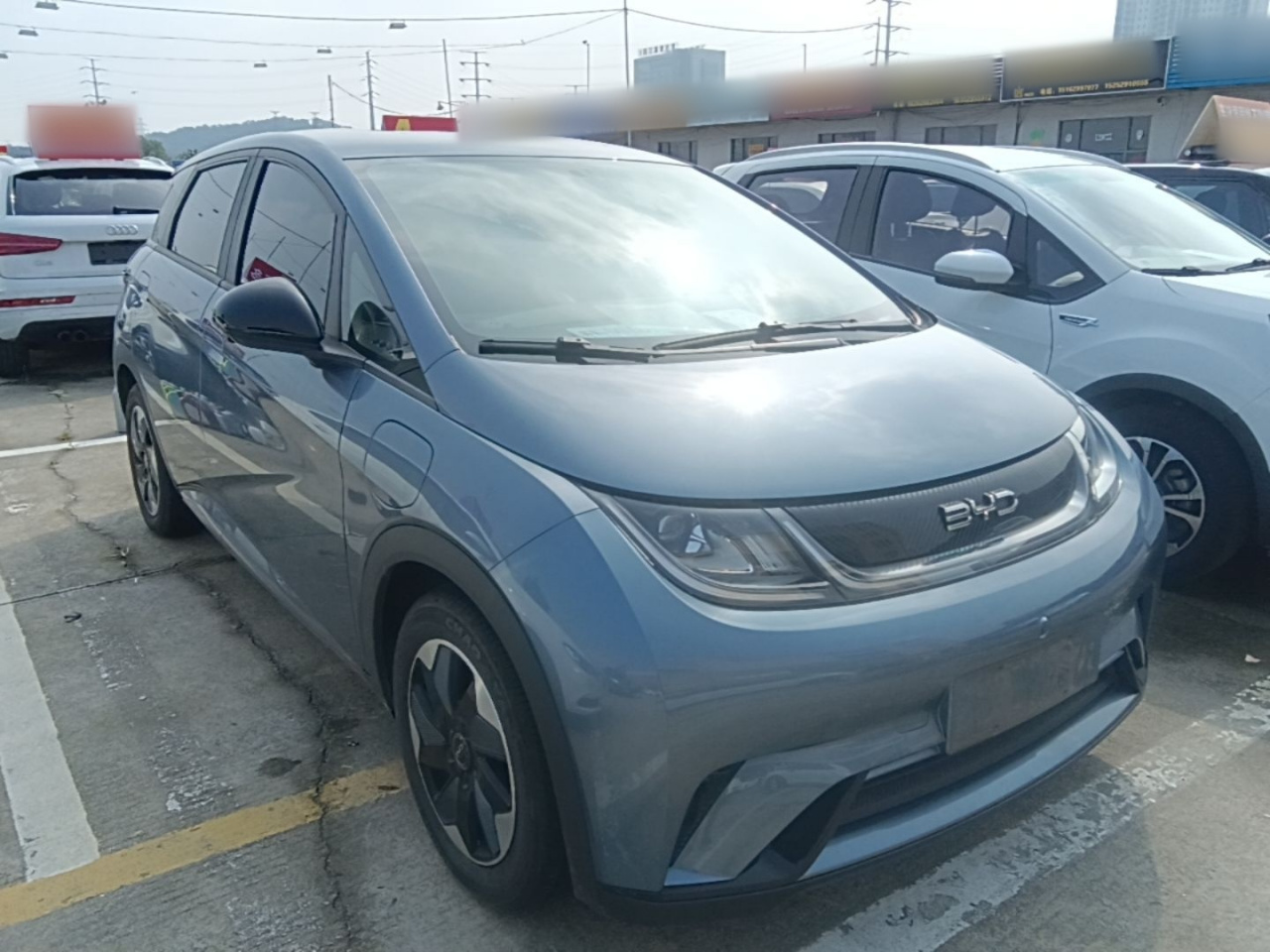 Dolphin 2024 Honor 420km photo 3