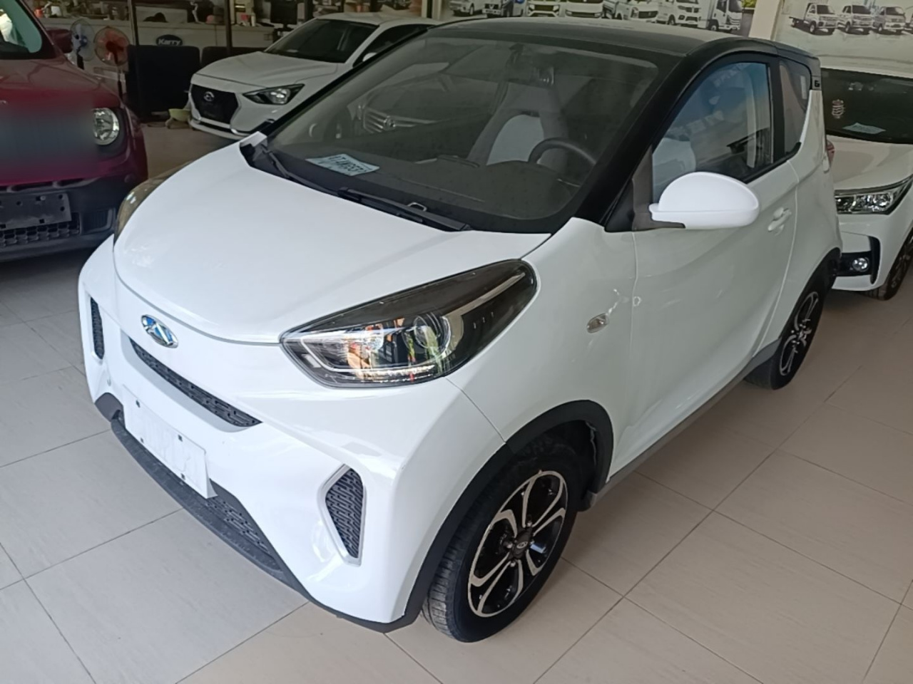 QQ Little Ant 2021 15 LFP