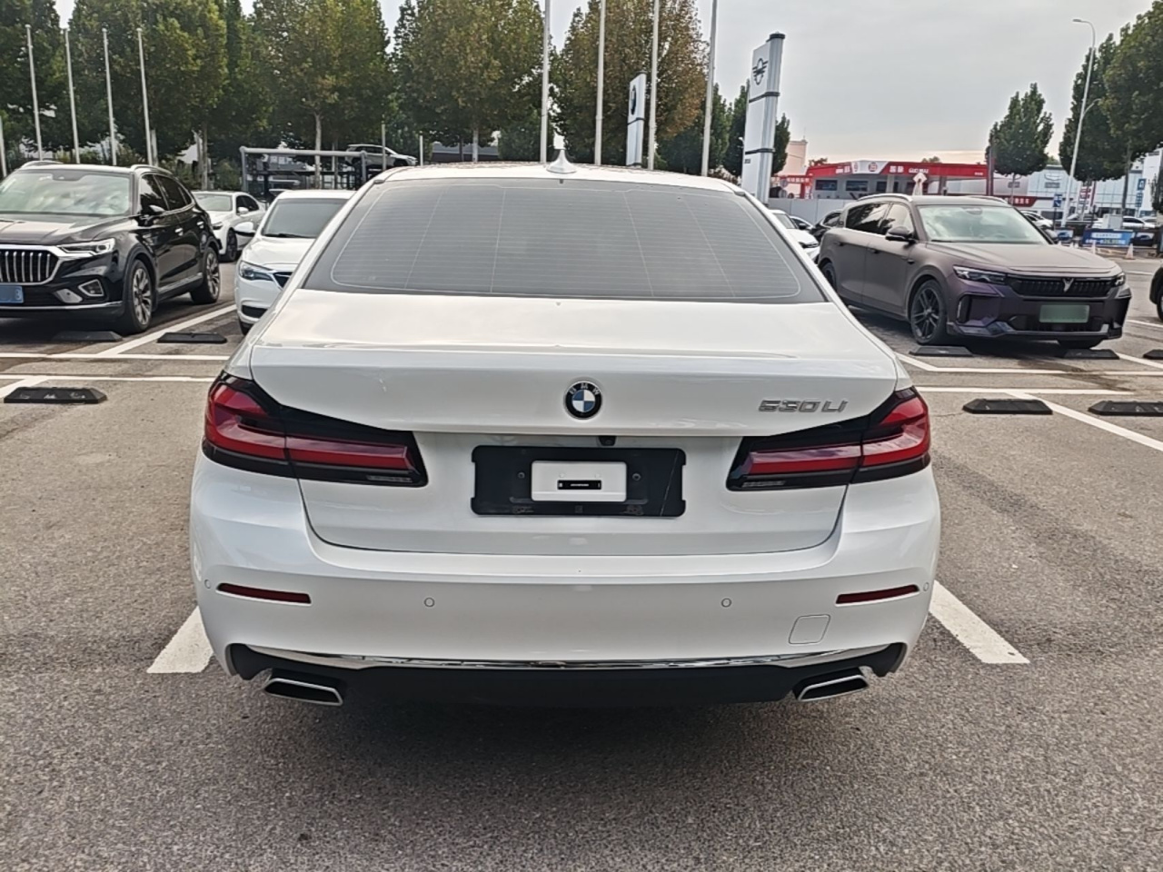 5 Series 2023 Facelift 530Li Leading Luxury photo 5