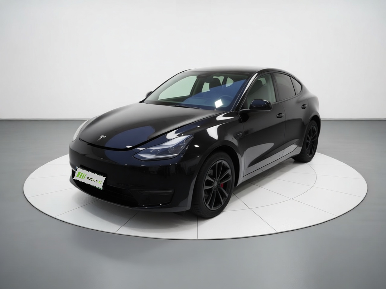 Model Y 2021 Standard Range RWD