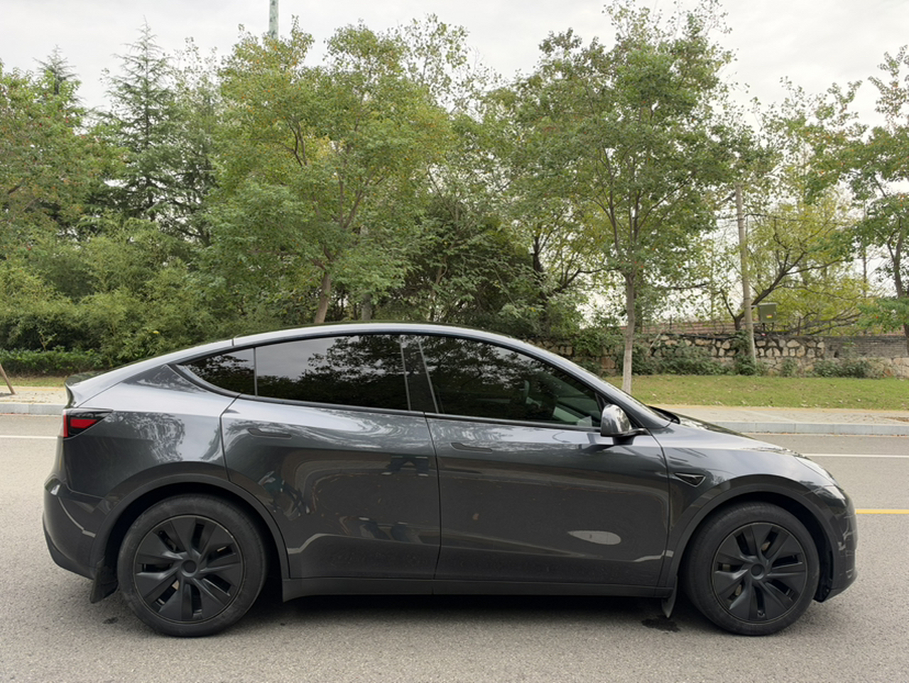 Model Y 2024 RWD photo 3