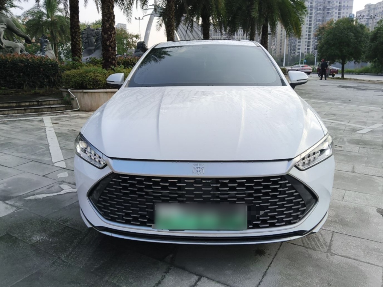 Qin PLUS 2021 DM-i 55KM Flagship photo 2