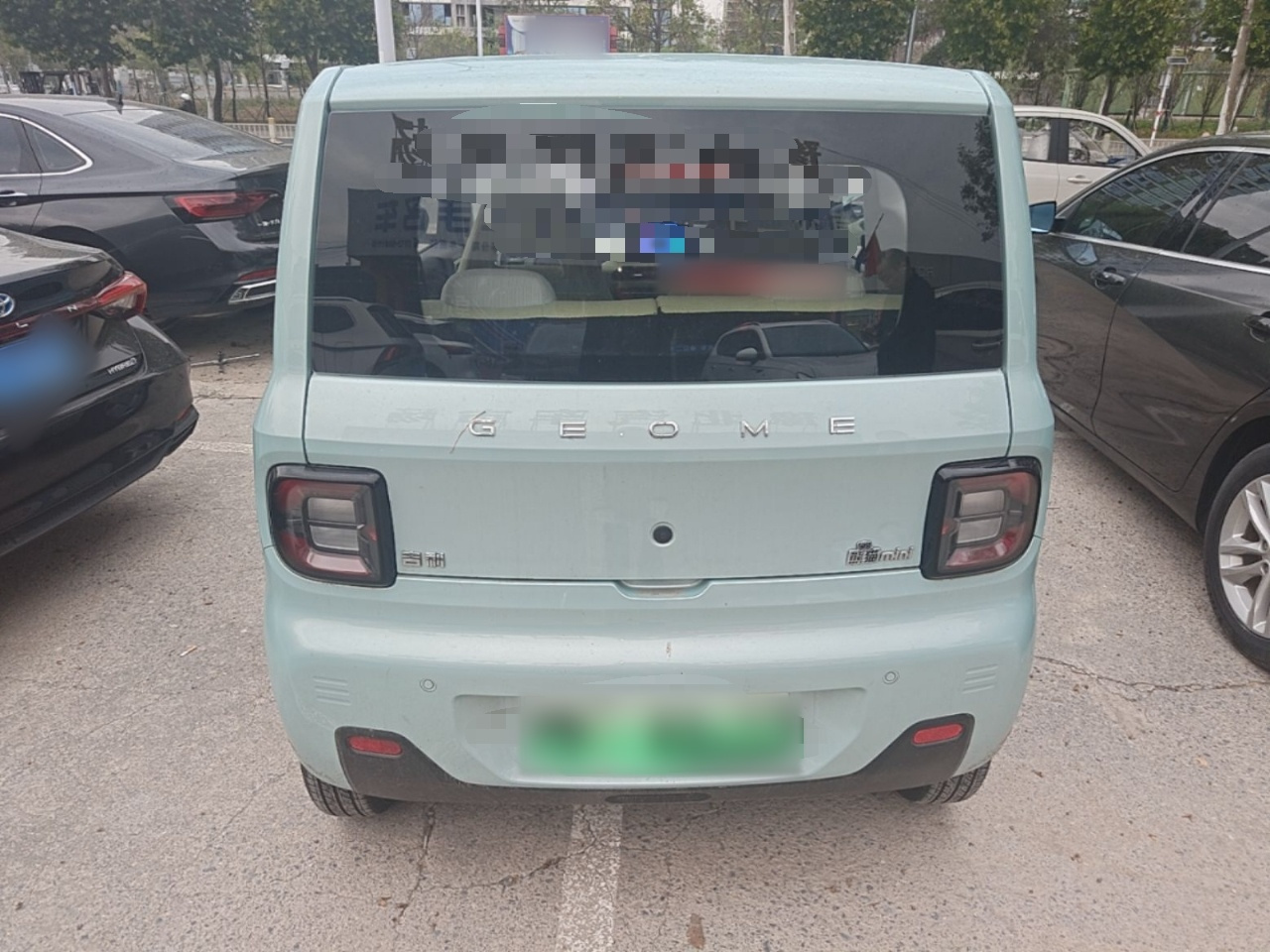 2024 Panda mini 200km Endurance Bear photo 5