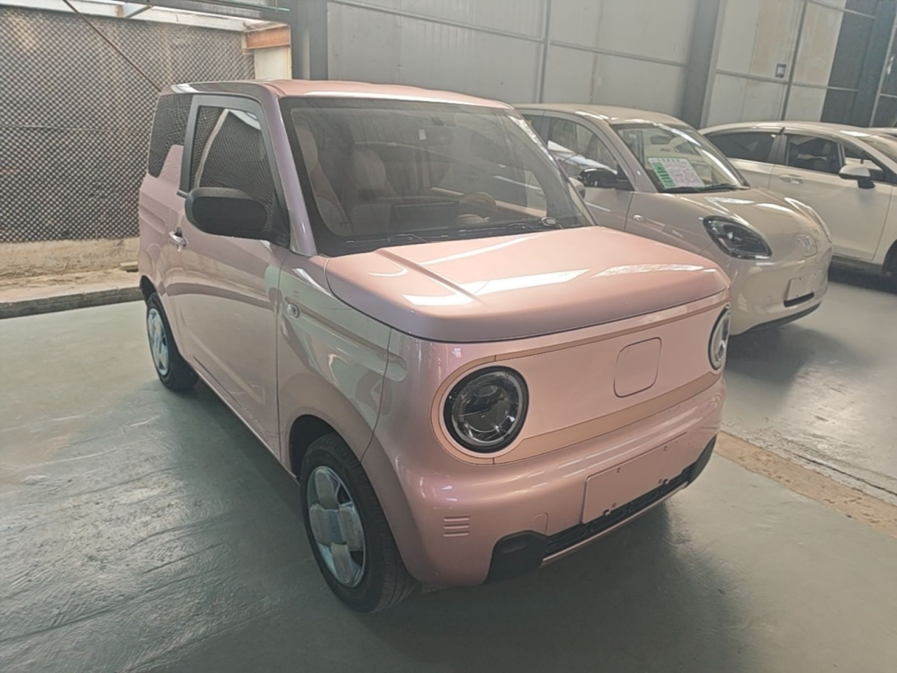 2024 Panda mini 200km Endurance Bear photo 3