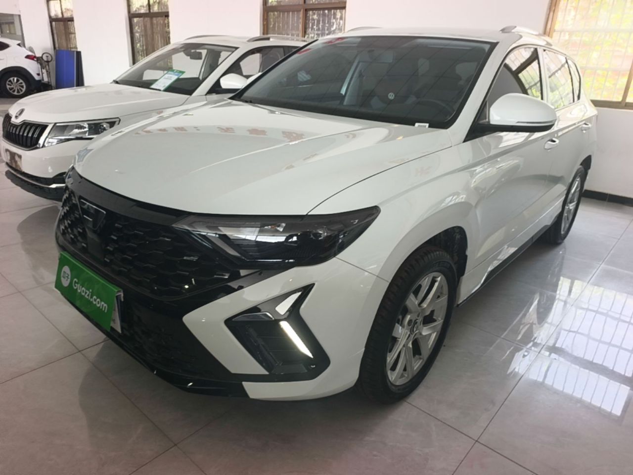 VS5 2024 Anniversary Edition