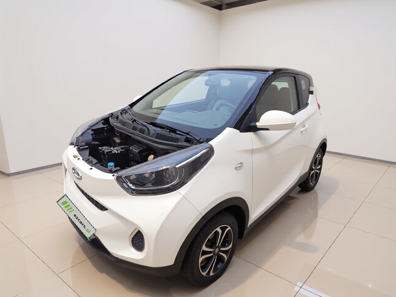 QQ Little Ant 2021 15 LFP