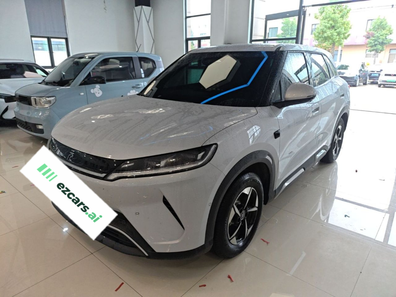 Yuan UP 2025 ADAS 401KM Leading