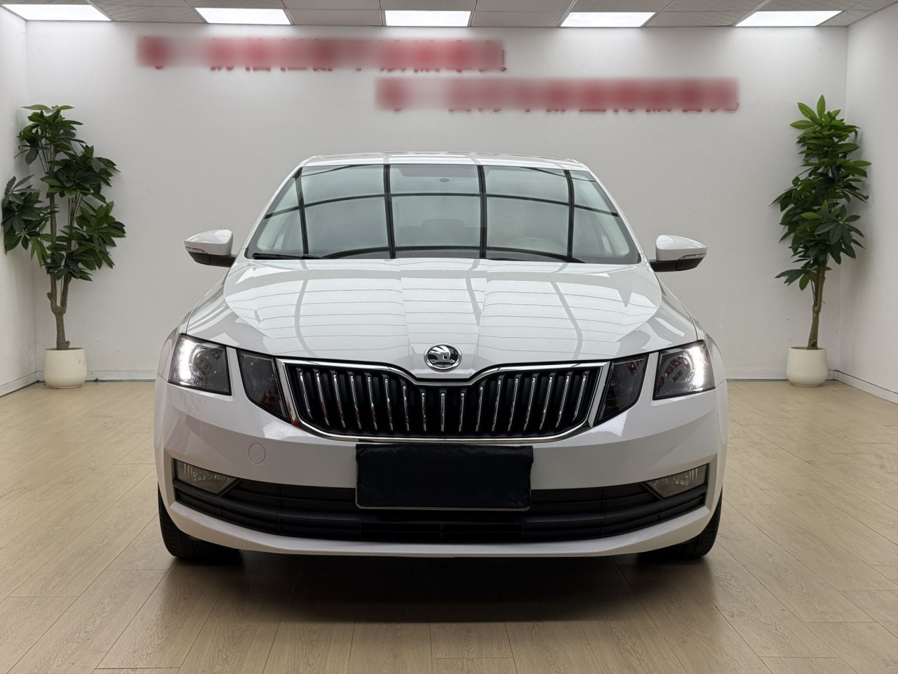 Octavia 2019 1.5L AT Comfort photo 3