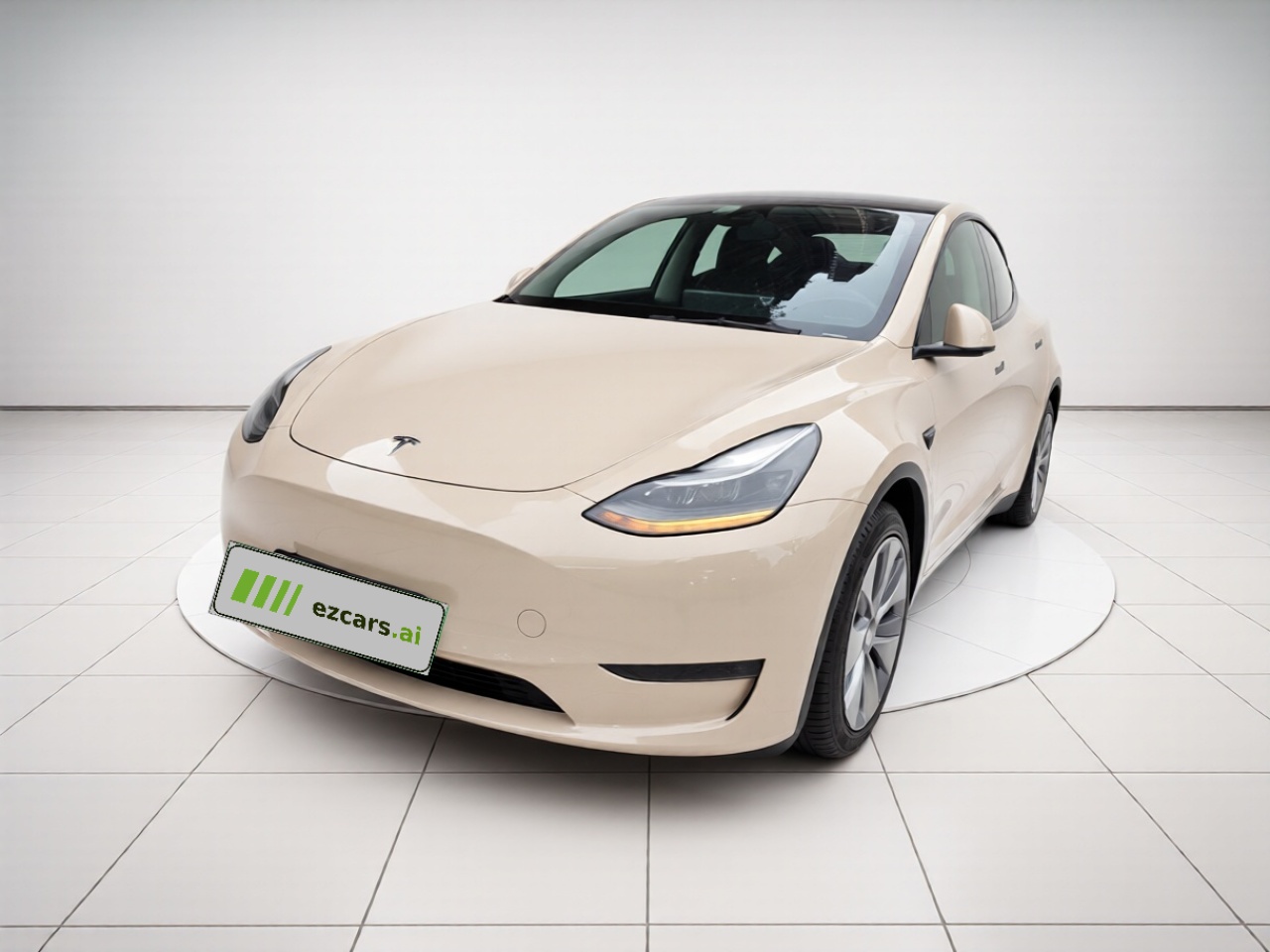 Model Y 2021 Standard Range RWD