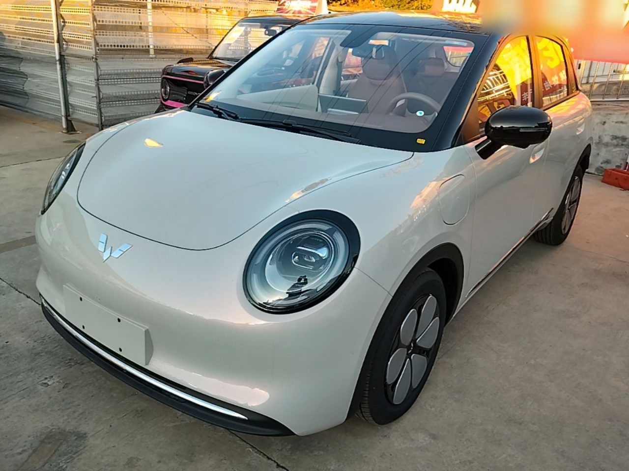 Bingo Pro 2026 330km Exclusive