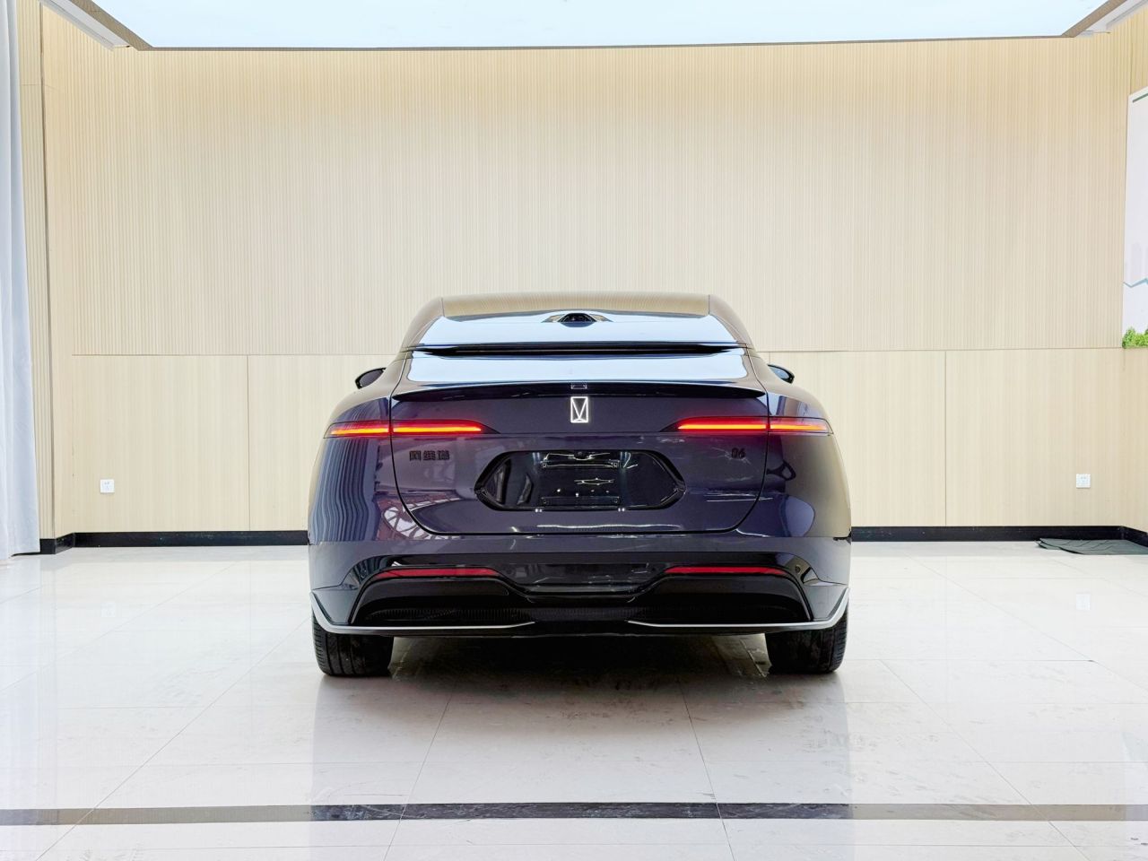 06 2025 Pro EV photo 5