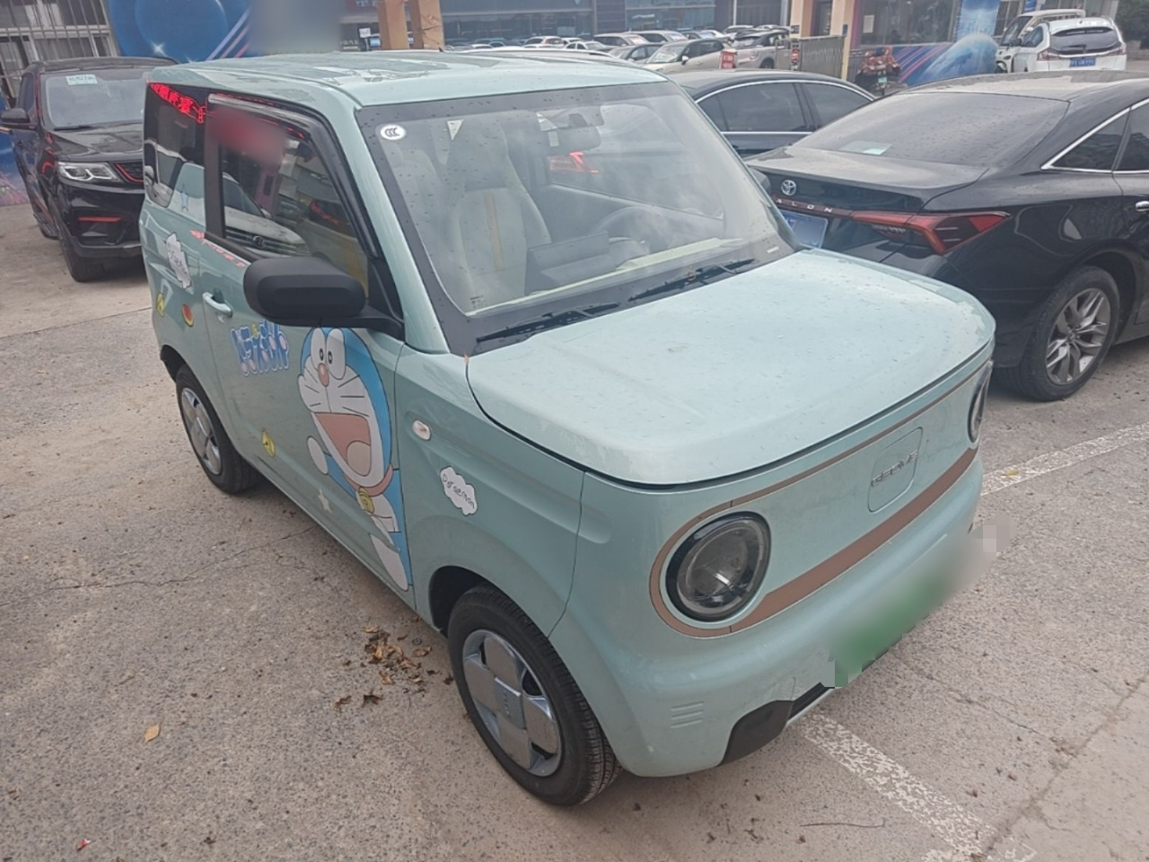 2024 Panda mini 200km Endurance Bear photo 3