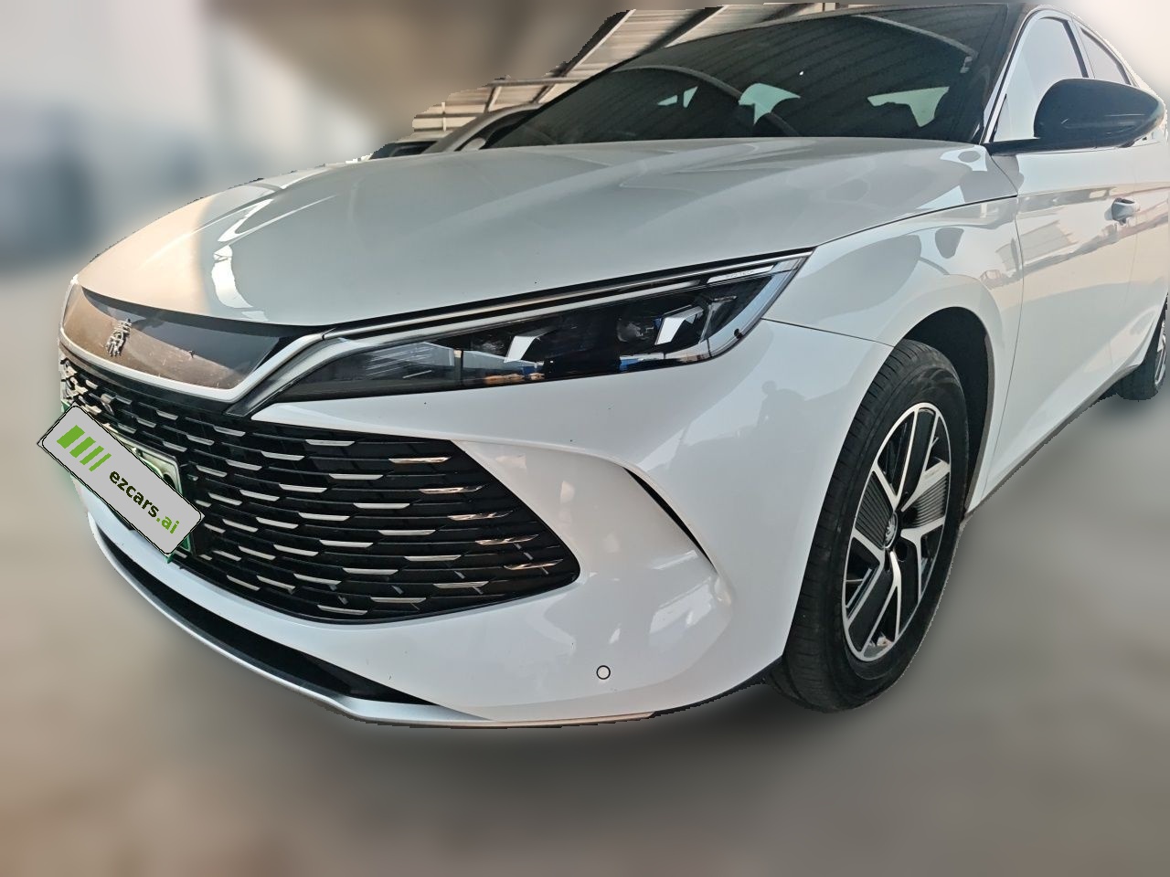 Qin L 2024 DM-i 120KM