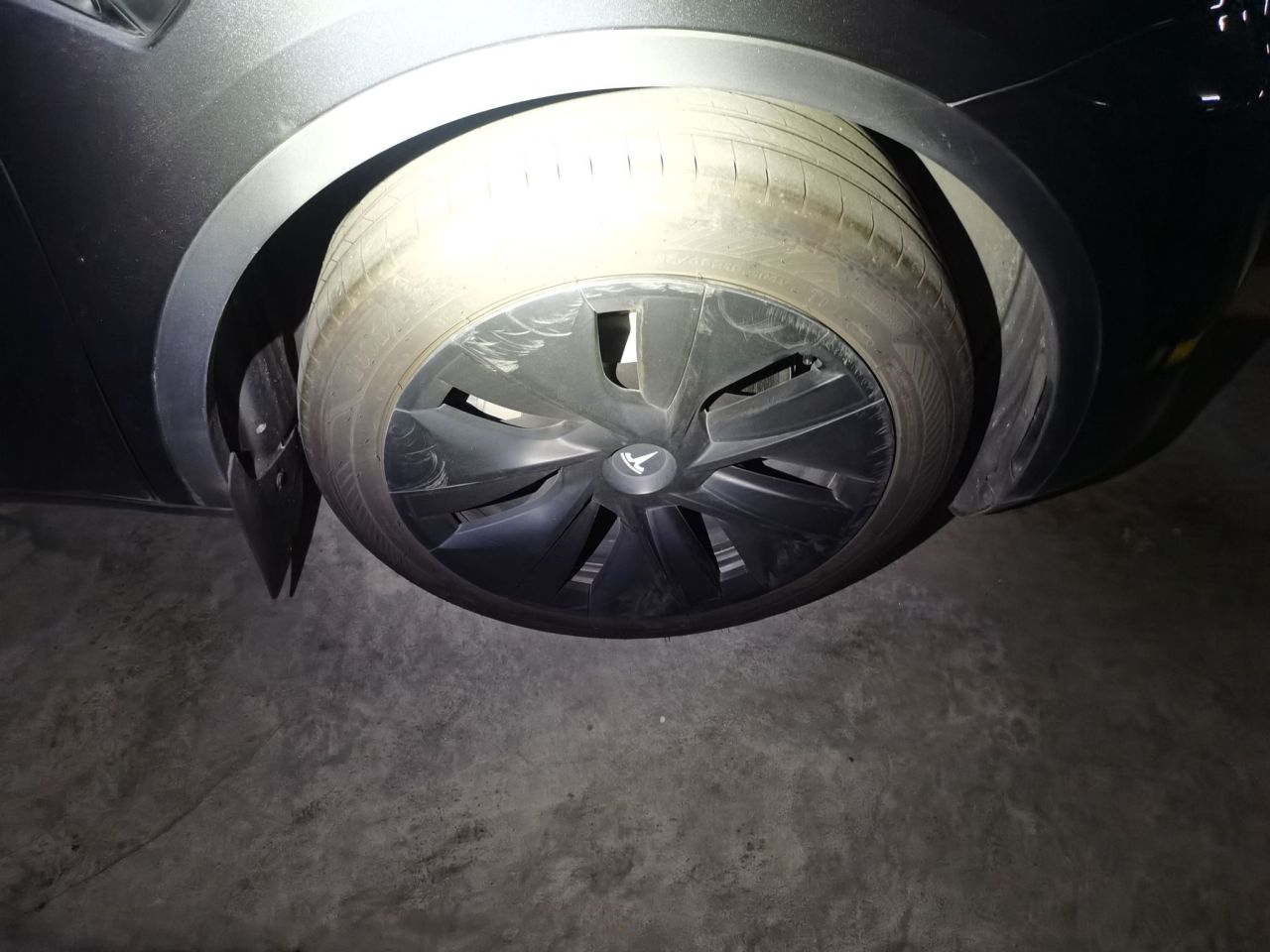 Model Y 2024 RWD photo 5