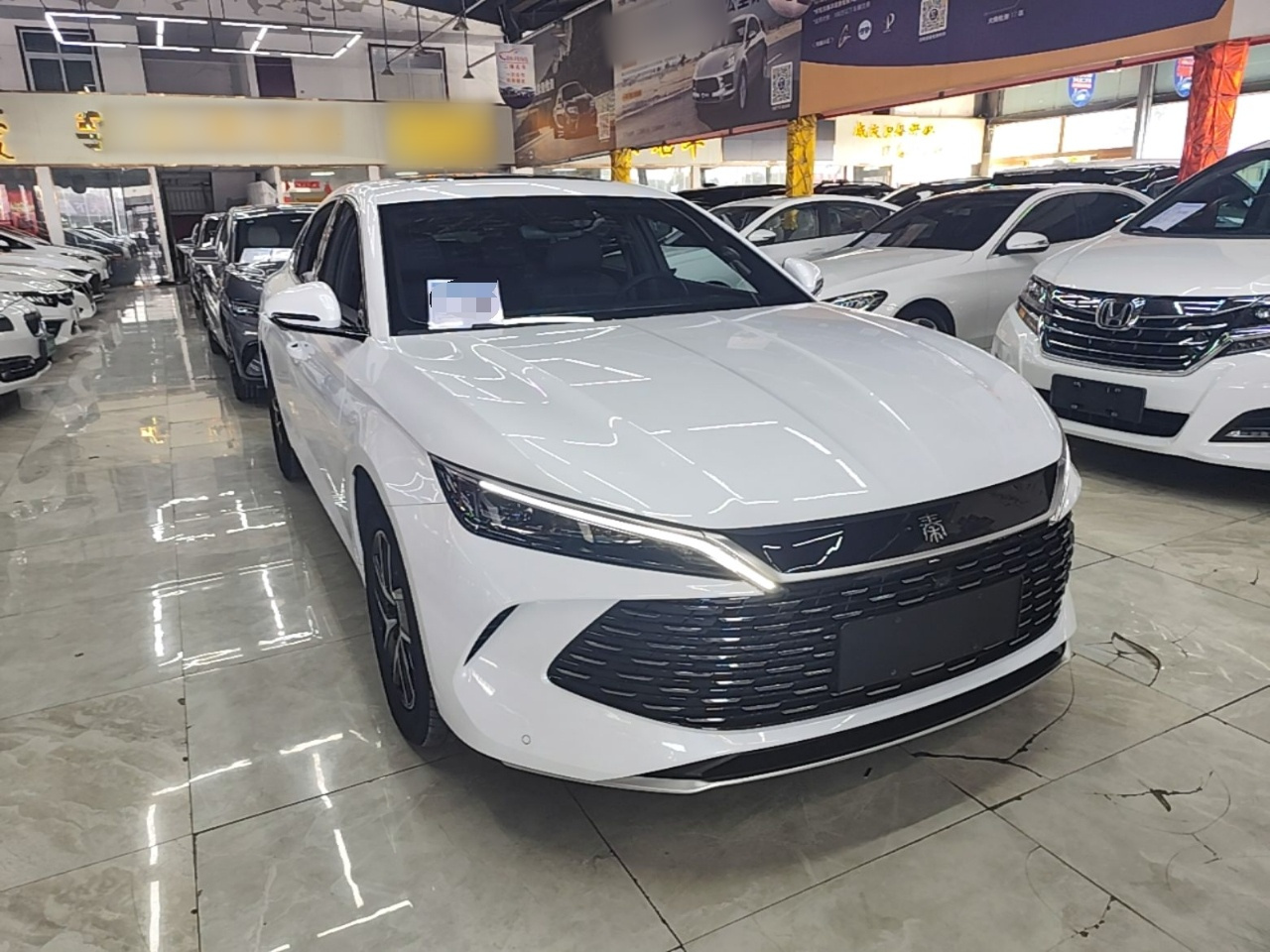 Qin L 2024 DM-i 120KM Leading photo 3
