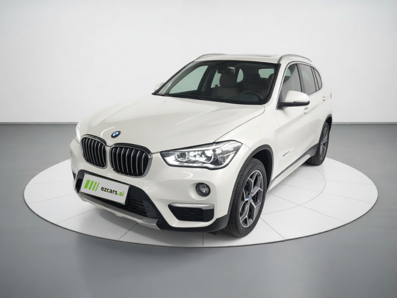X1 2018 xDrive20Li Exclusive