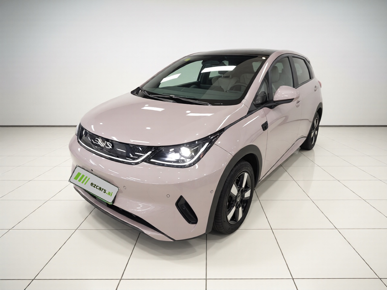 Dolphin 2025 ADAS 410km Fashion