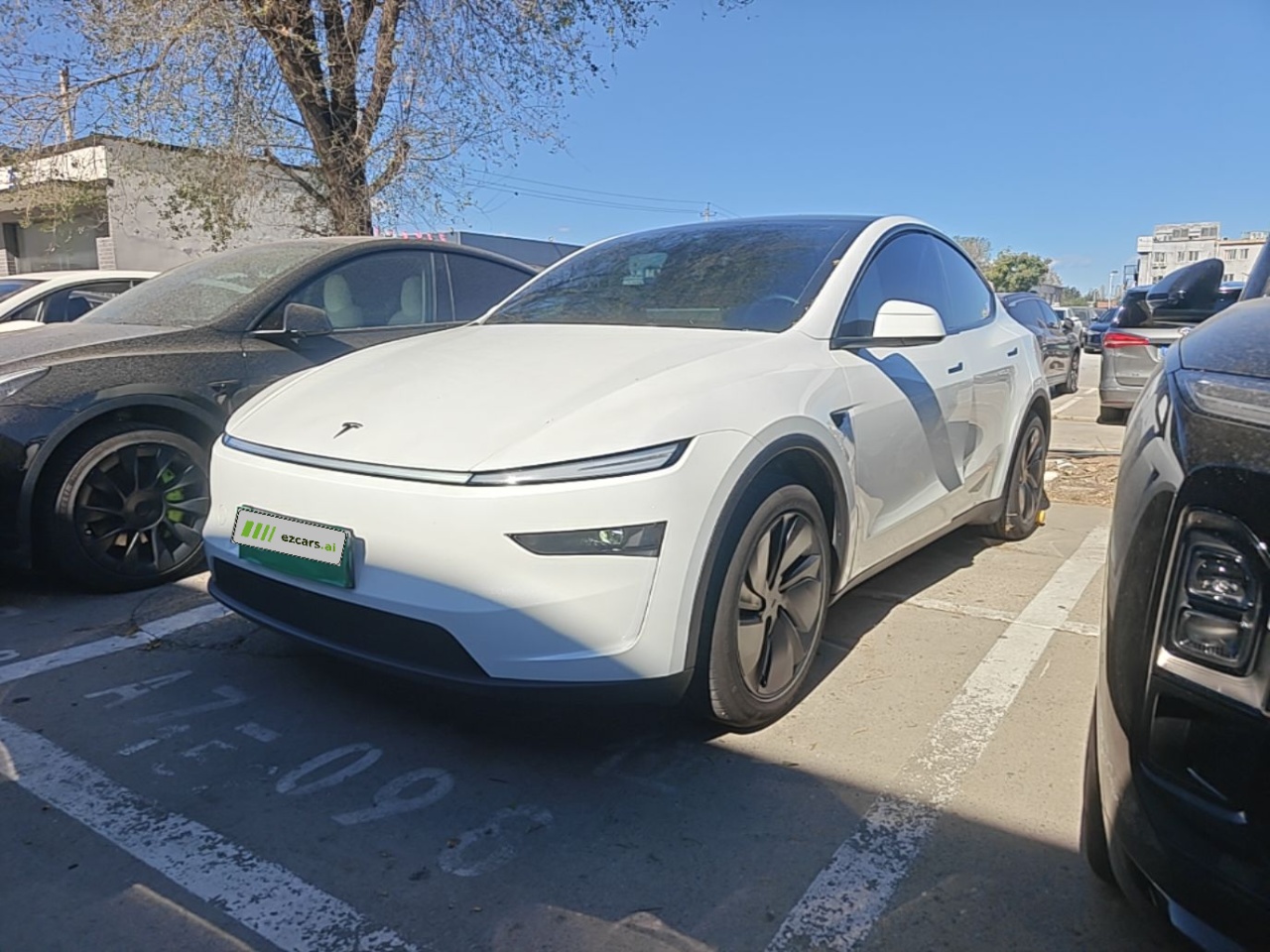 Model Y 2026 Long Range RWD
