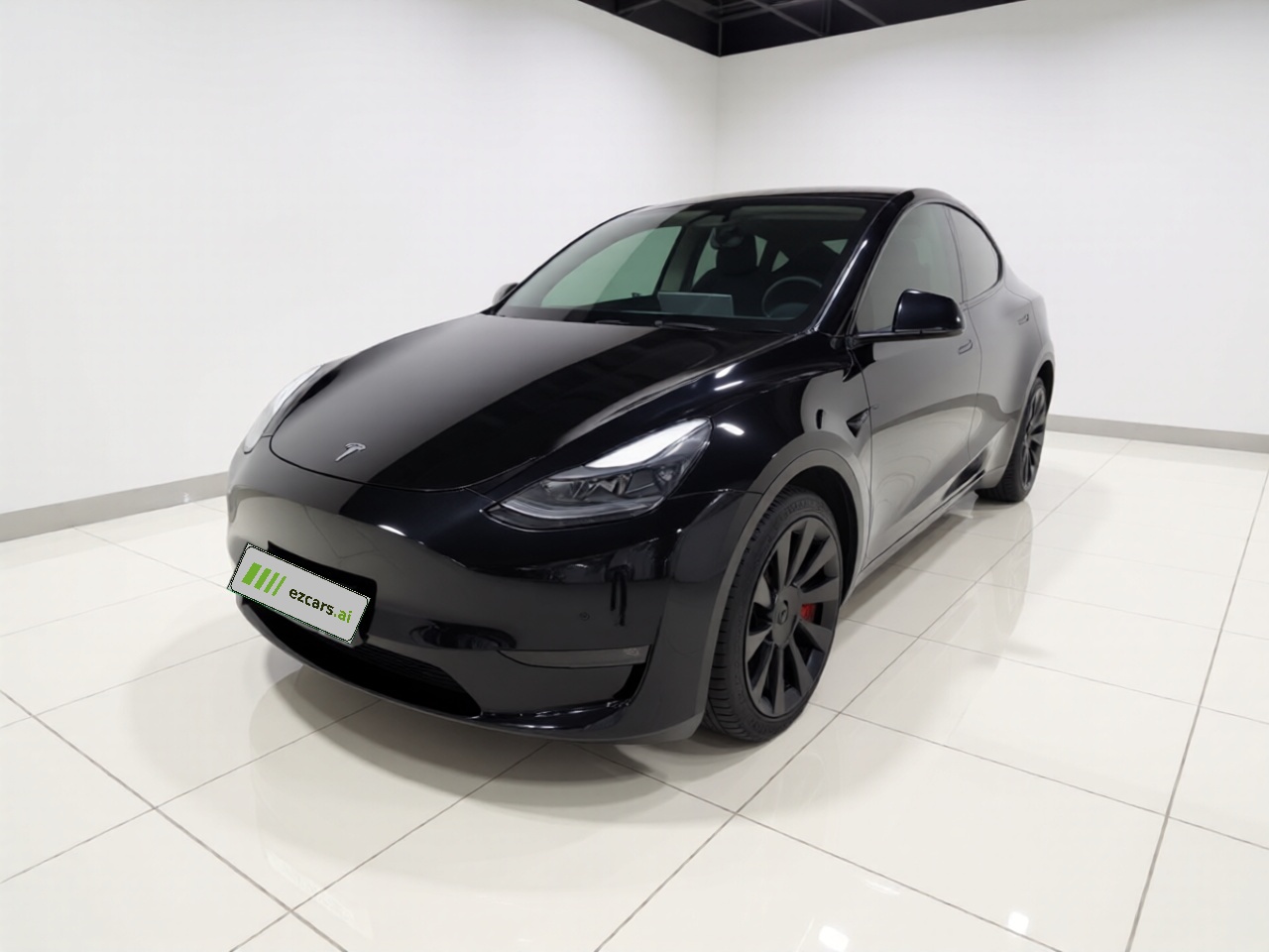 Model Y 2021 Standard Range RWD