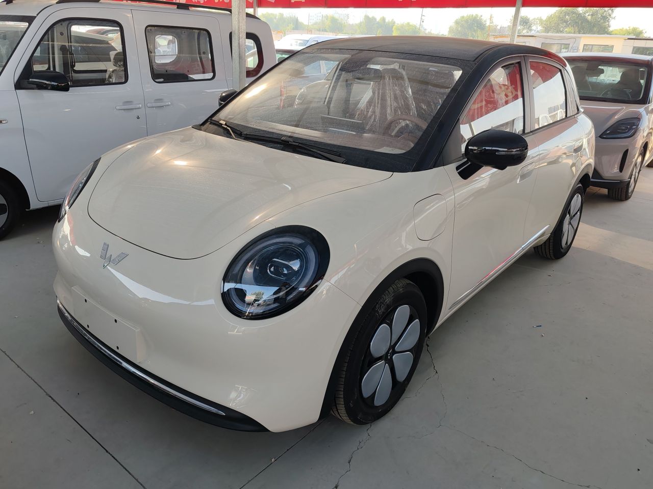 Bingo Pro 2026 330km Exclusive