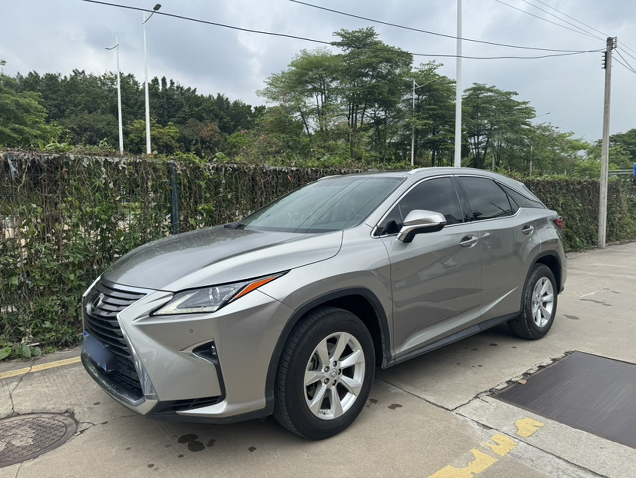 RX 2016 300 RWD Elite China V