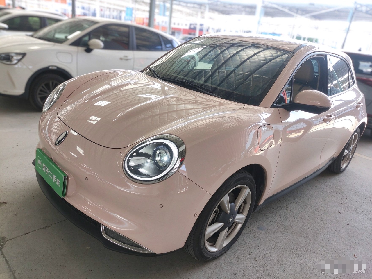 Good Cat 2022 400km Standard Range Luxury NCM