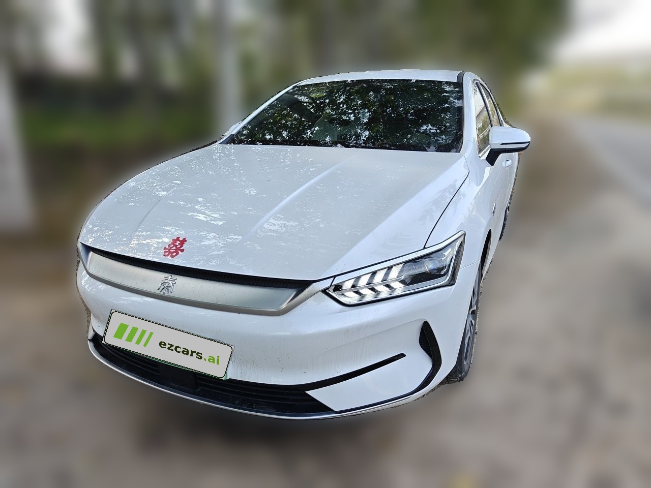 Qin PLUS 2024 Honor EV 510KM Leading