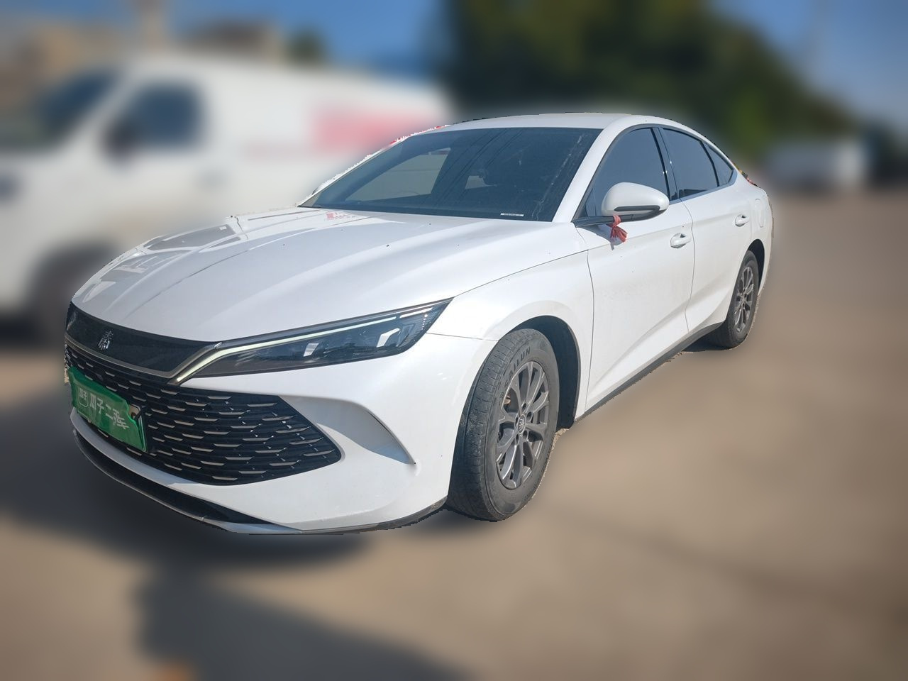 Qin L 2024 DM-i 80KM Leading