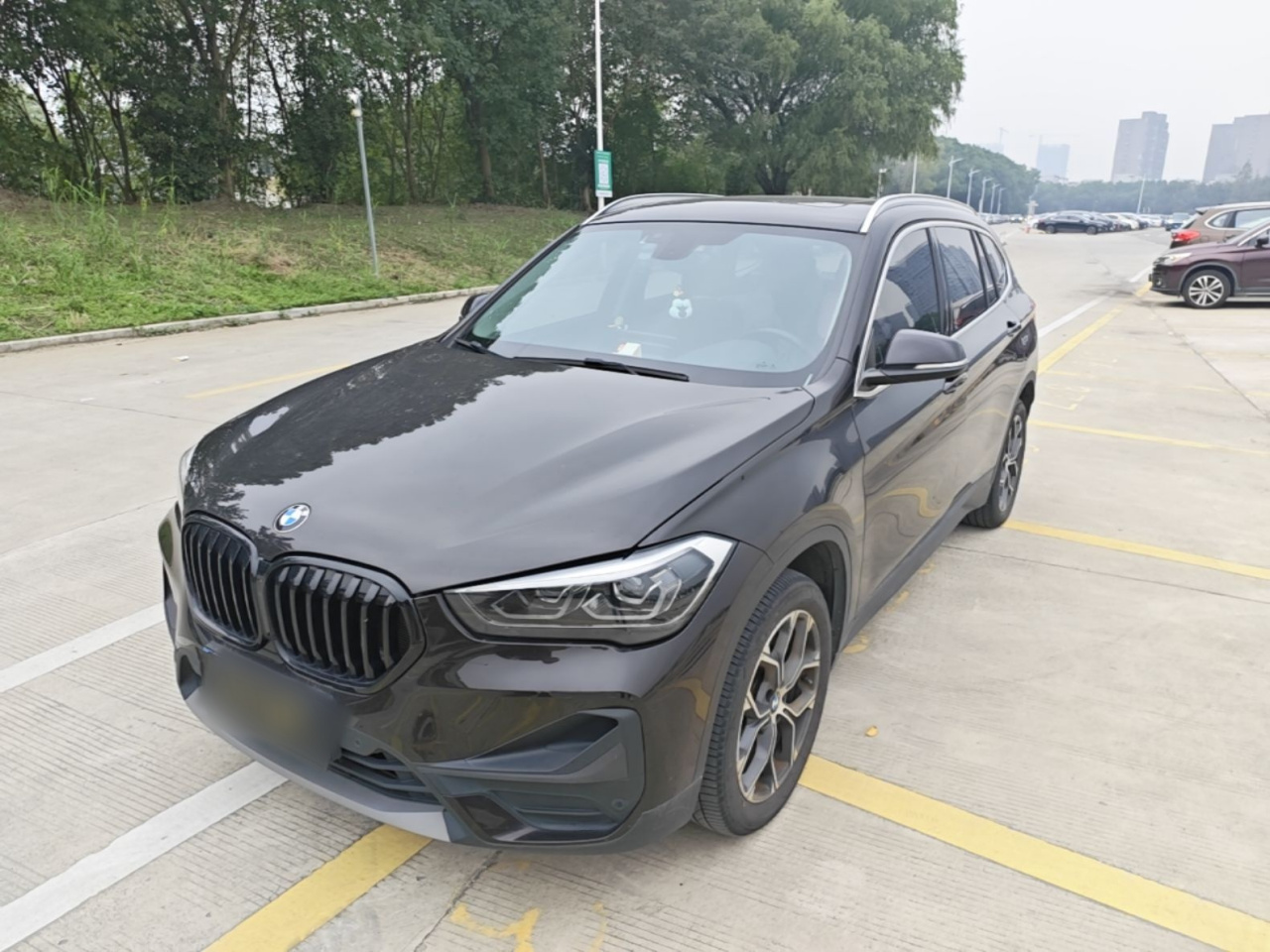 X1 2022 sDrive25Li Leading