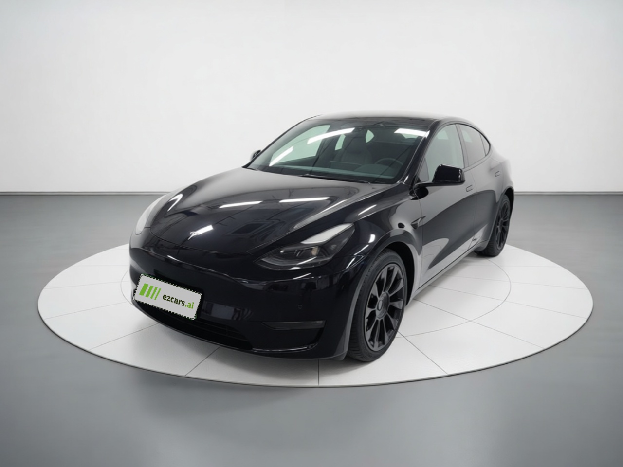 Model Y 2021 Standard Range RWD