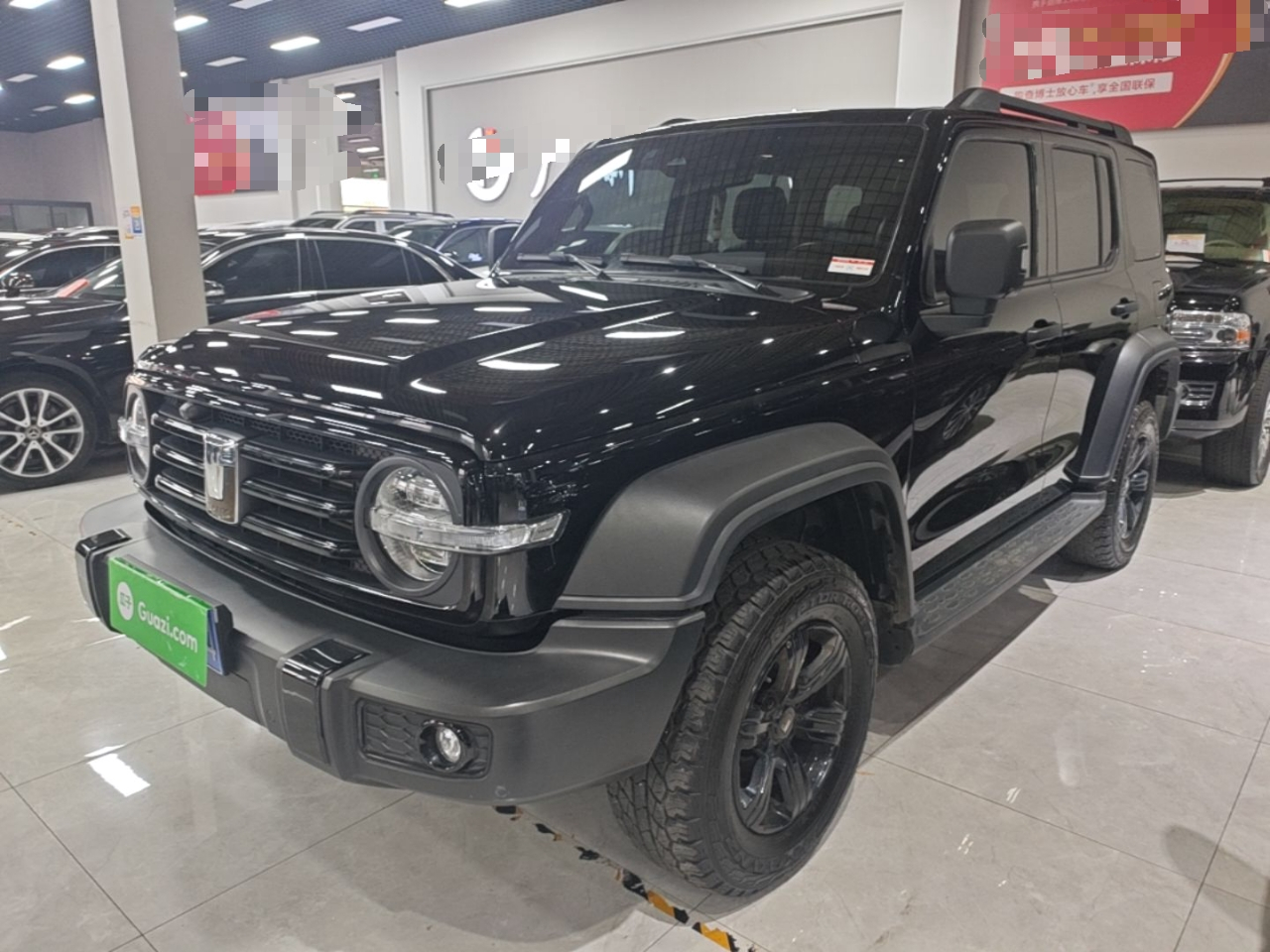 300 2023 Off-road 2.0T Conqueror