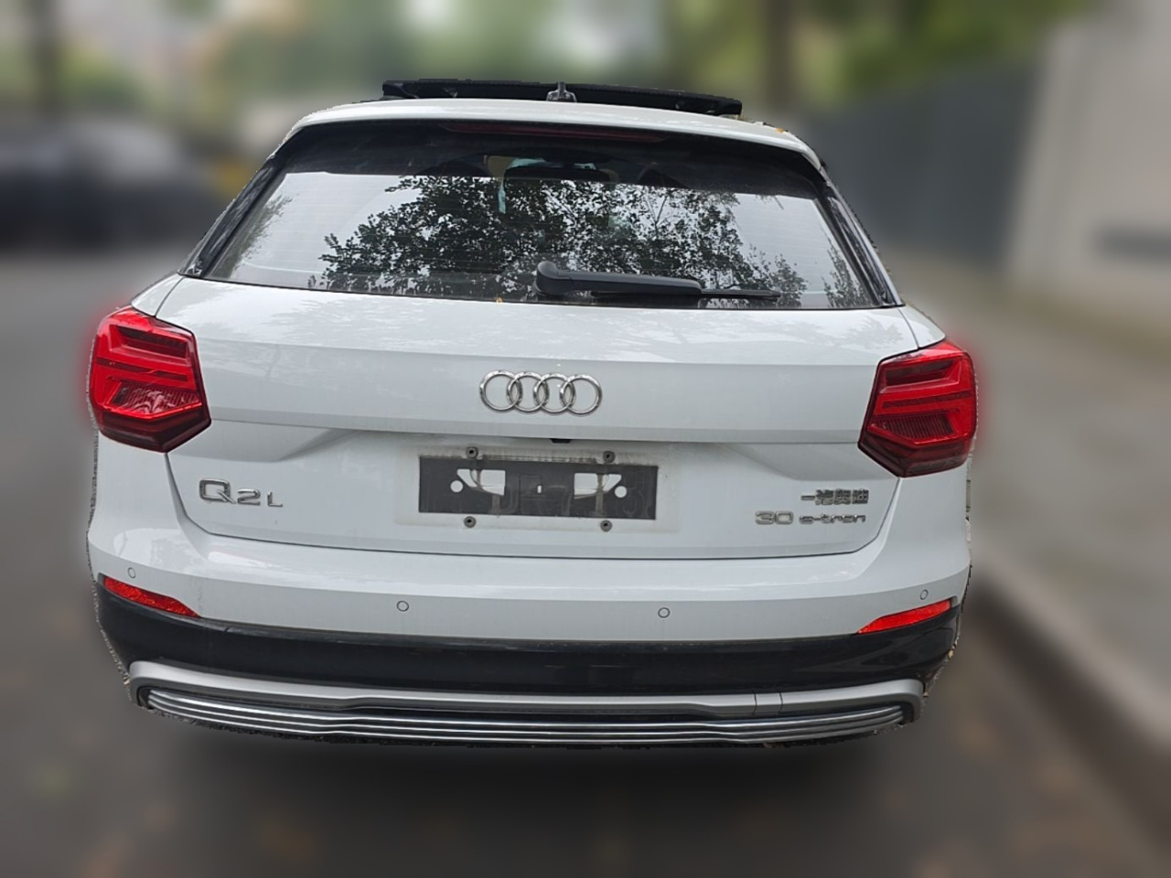 Q2L e-tron 2019 Q2L e-tron EV Smart photo 5