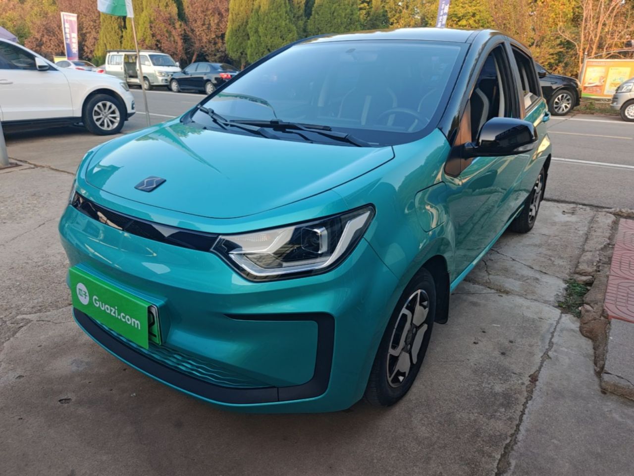 Sehol Flower Fairy 2021 302km Luxury 31.4kWh