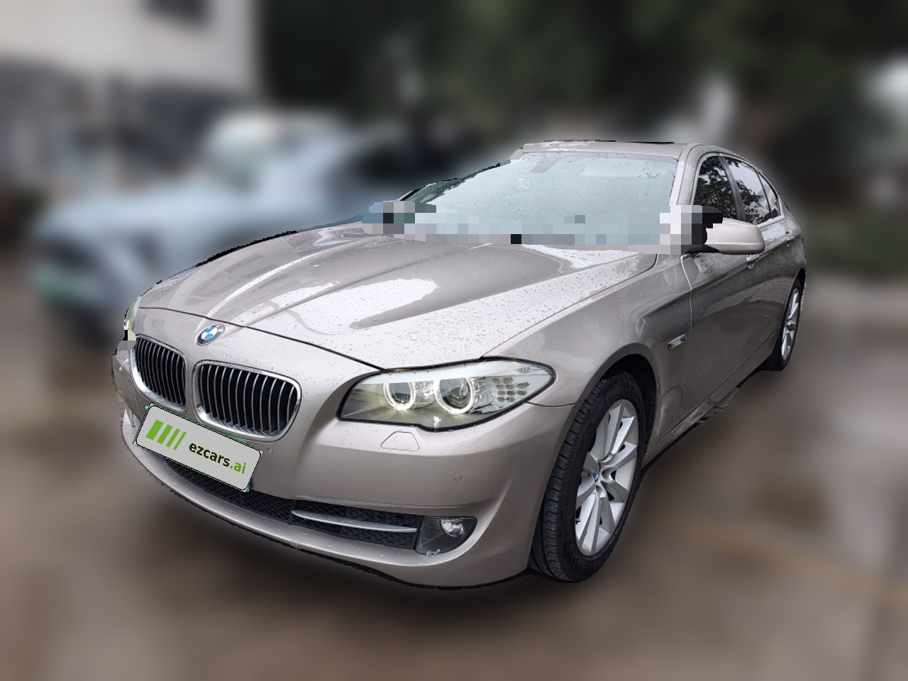 5 Series 2013 530Li Leading