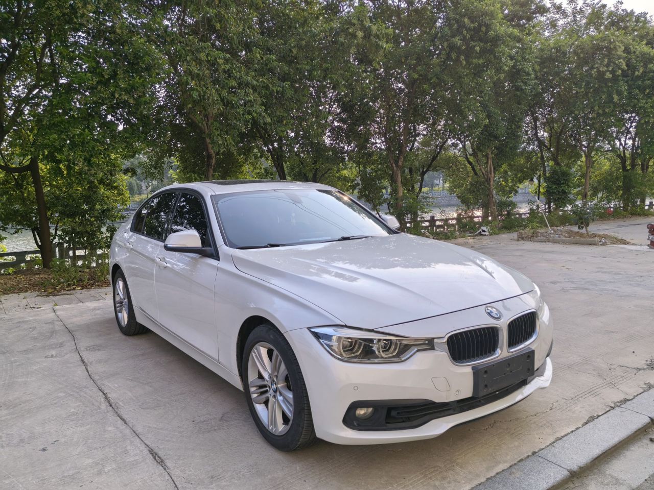 3 Series 2018 318i photo 3