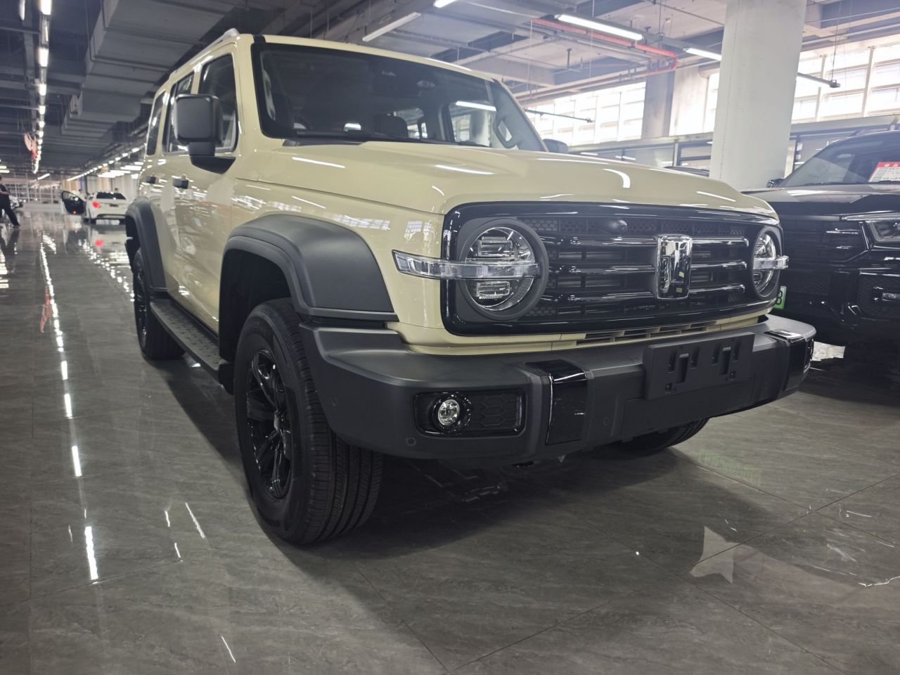 300 2025 2.0T Petrol Conqueror photo 2