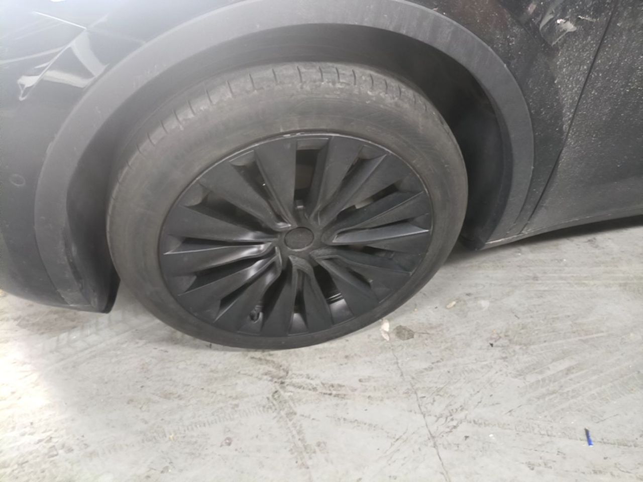 Model Y 2023 RWD photo 3