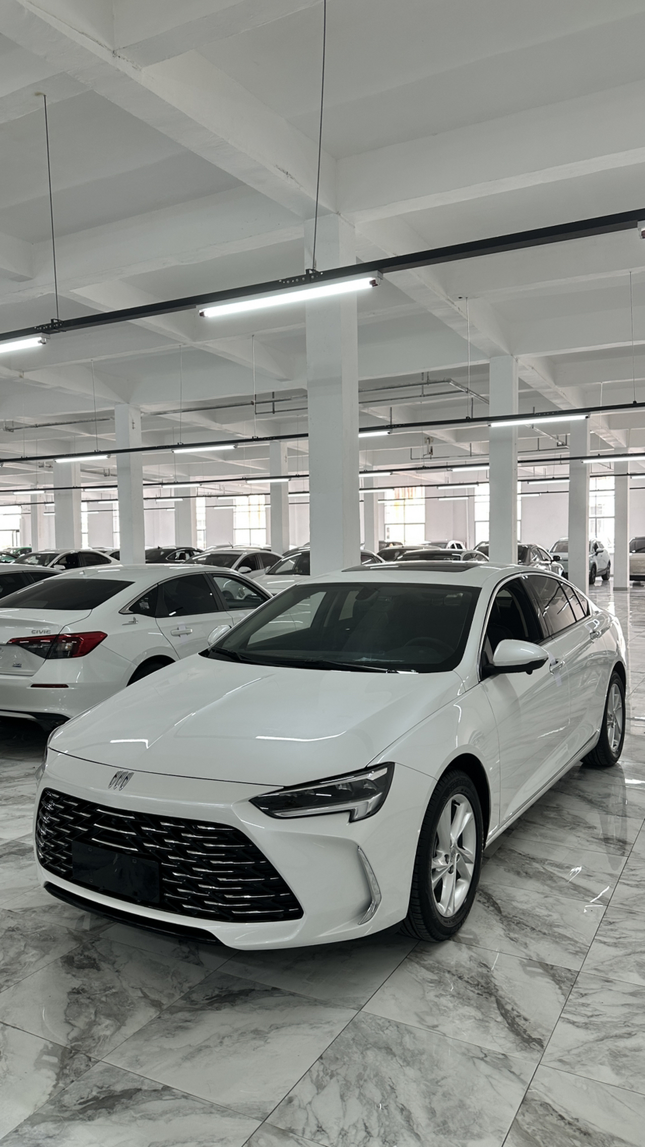 Regal 2024 25T