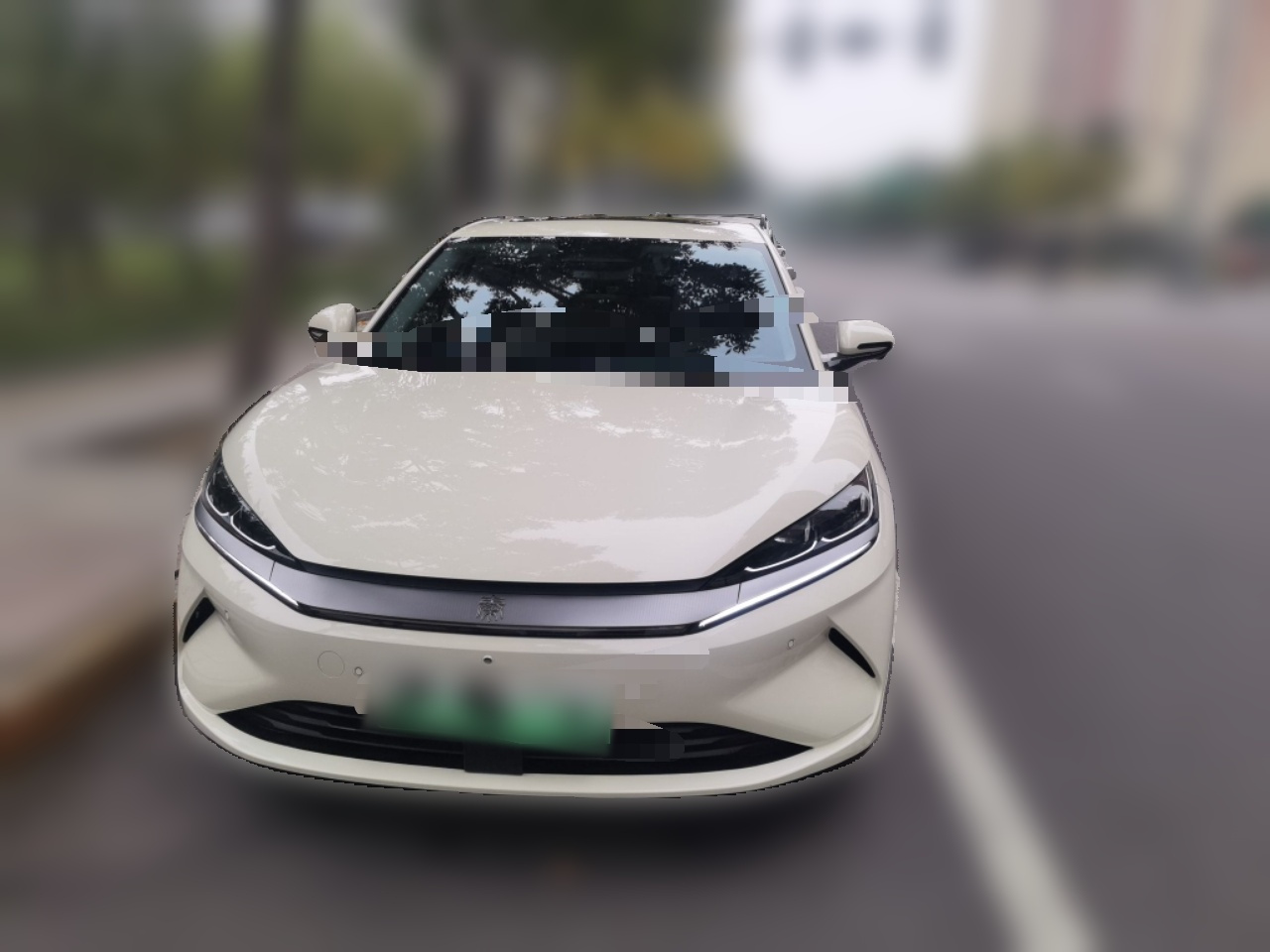 Qin L 2025 EV 545KM Excellence photo 2