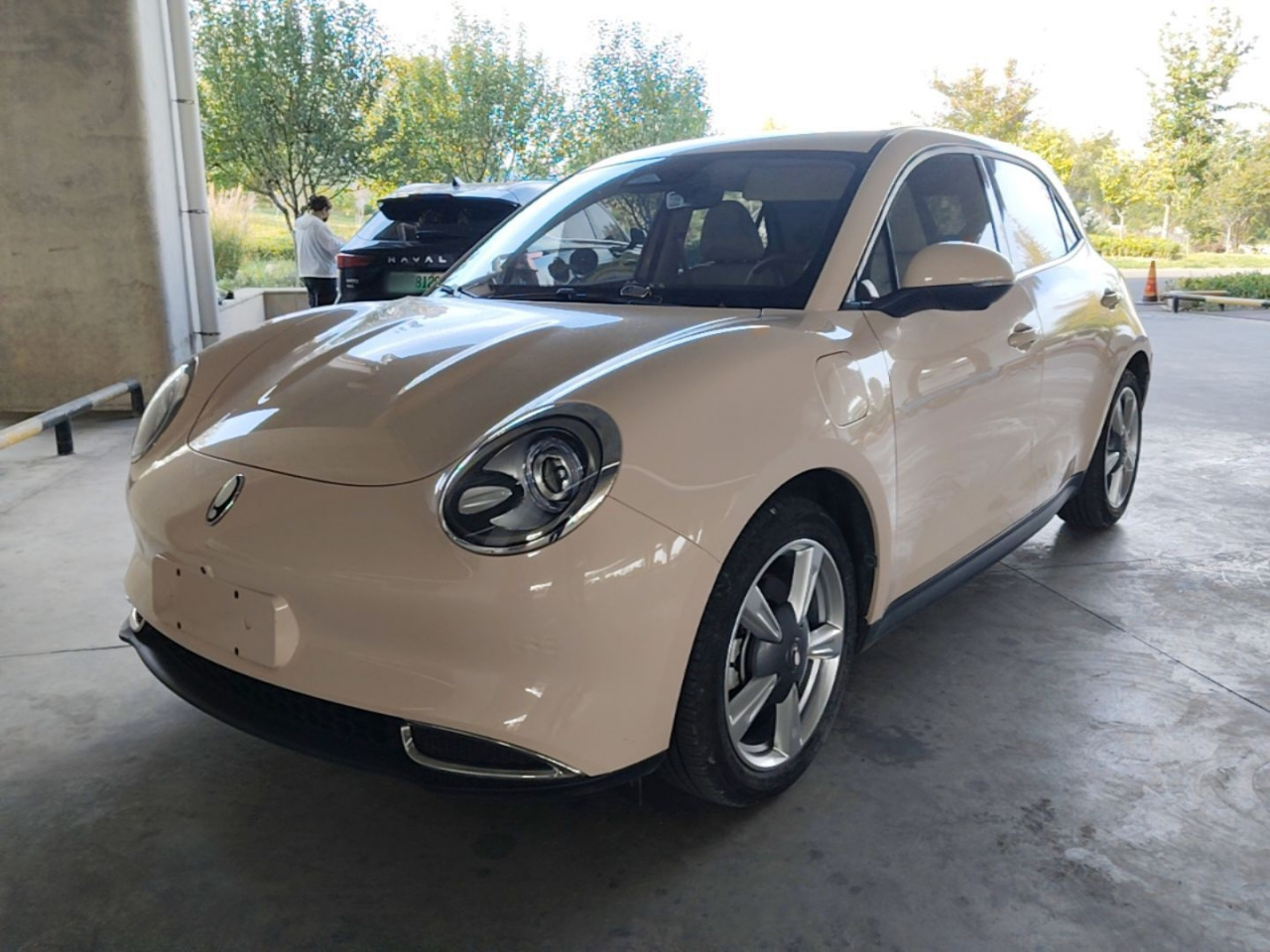 Good Cat 2022 400km Standard Range Premium LFP
