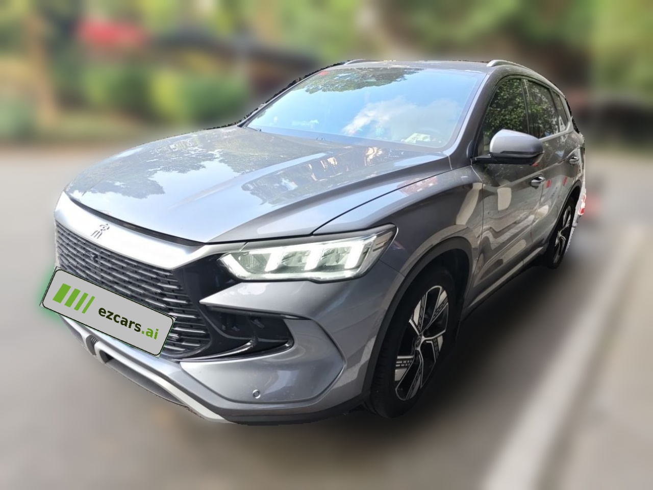Song Pro EV 2023 Champion DM-i 110KM Excellence