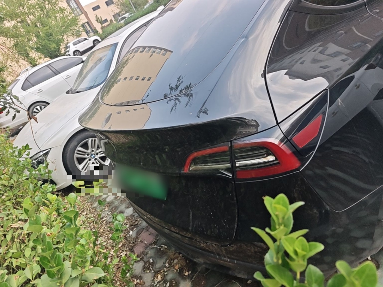 Model Y 2022 Facelift RWD photo 5