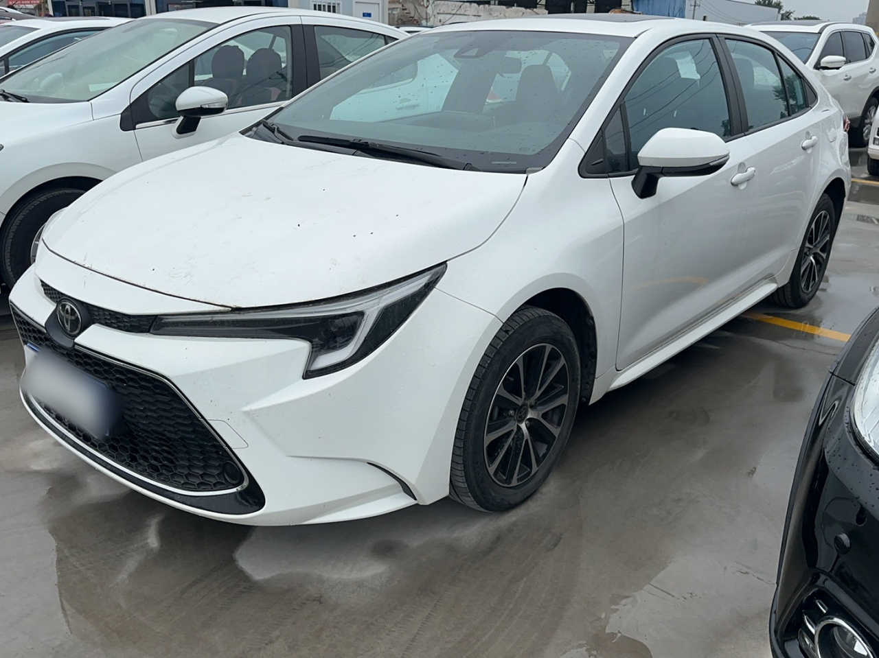 Levin 2023 185T CVT Luxury