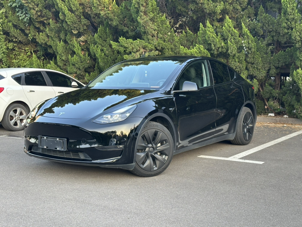 Model Y 2021 Standard Range RWD