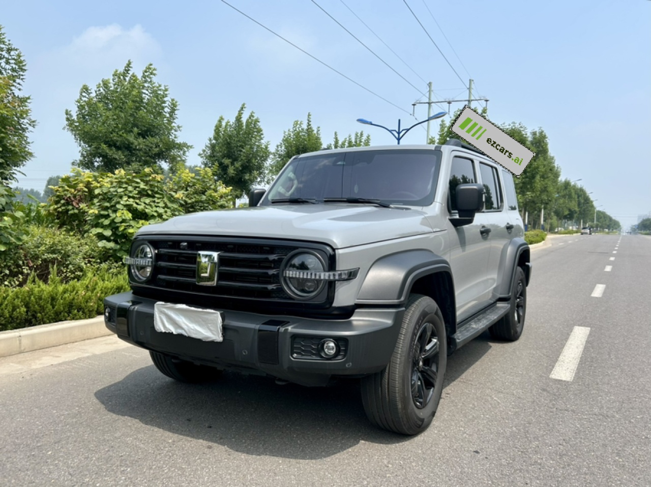300 2021 Off-road 2.0T Conqueror