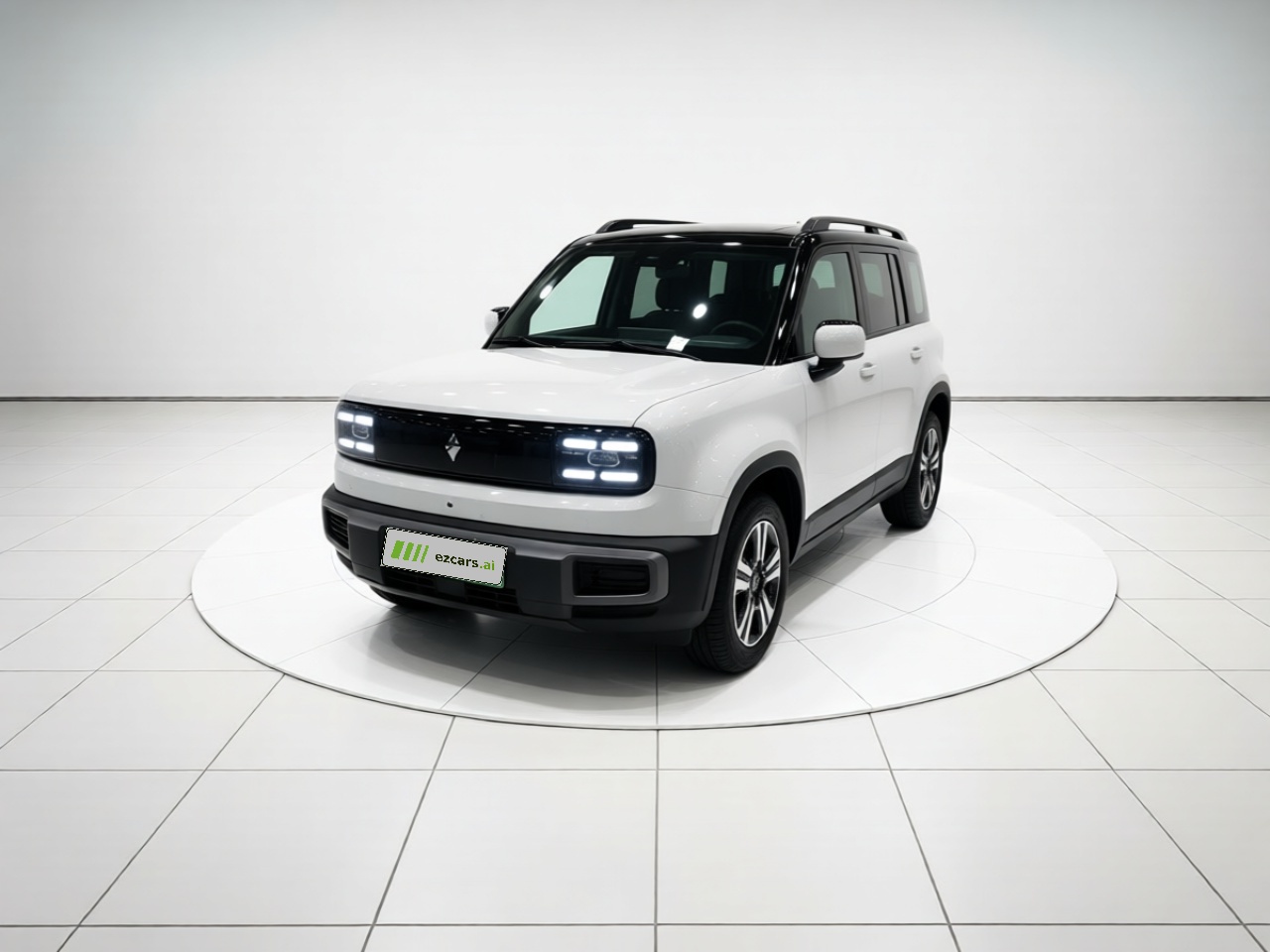 Plus 2026 301km Flagship