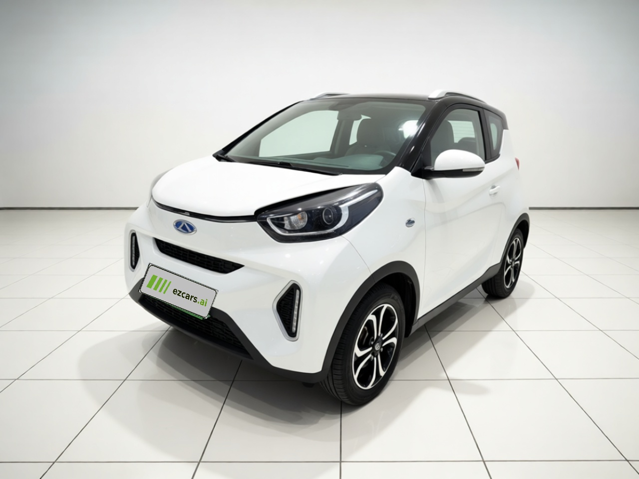QQ Little Ant 2021 15 NCM