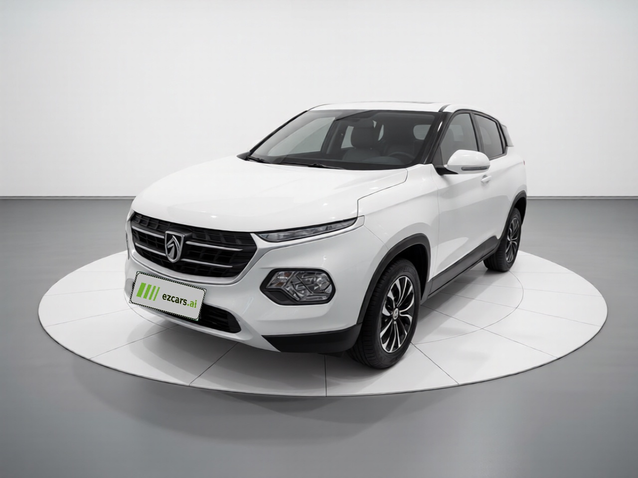 510 2019 1.5L MT Energetic 77kW China VI