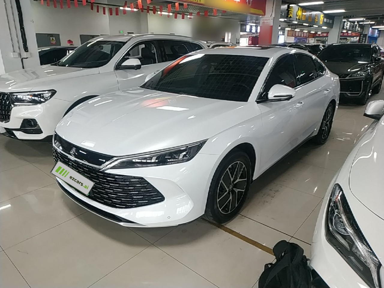 Qin L 2024 DM-i 120KM Leading